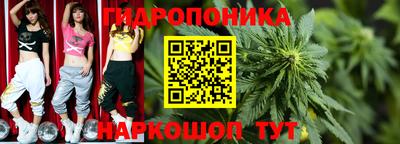 ECSTASY Ачхой-Мартан