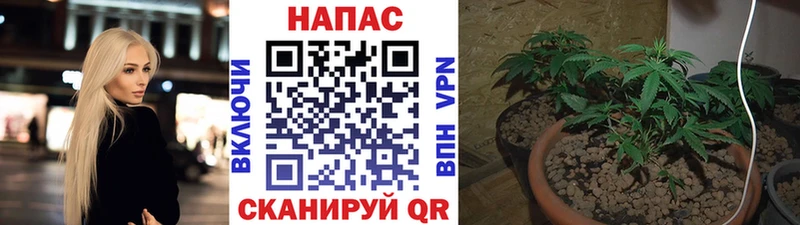 Бошки марихуана White Widow  Раменское 